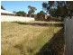 Blayney NSW 2799