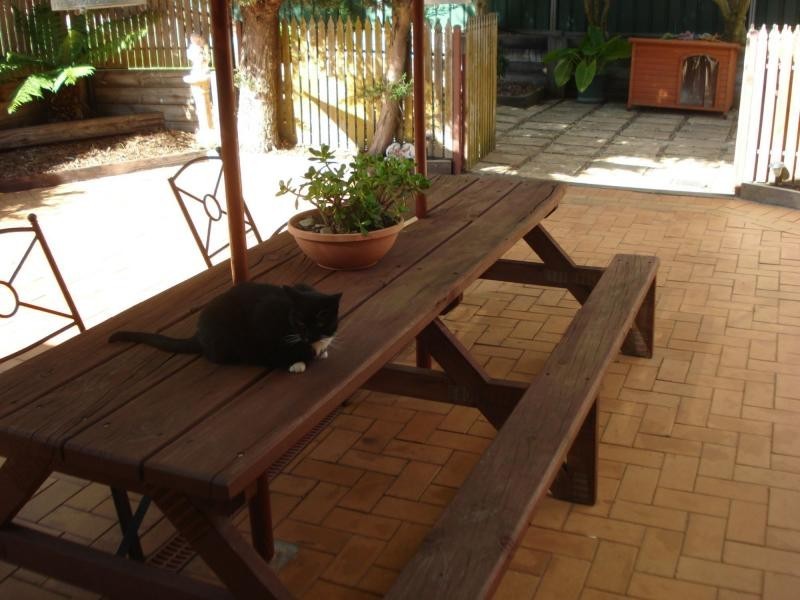 Millthorpe NSW 2798