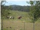 Newbridge NSW 2795