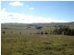 Blayney NSW 2799