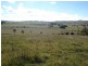 Blayney NSW 2799