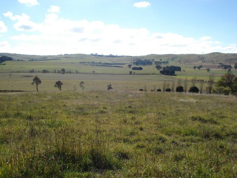 Blayney NSW 2799