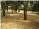 Blayney NSW 2799