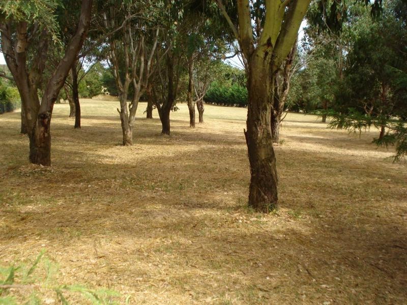 Blayney NSW 2799