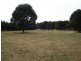 Blayney NSW 2799