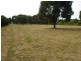 Blayney NSW 2799
