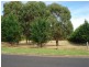 Blayney NSW 2799