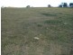 Kings Plains NSW 2799