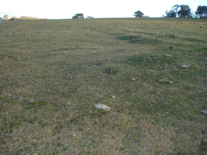 Kings Plains NSW 2799