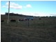Kings Plains NSW 2799