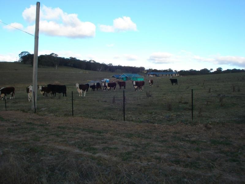 Kings Plains NSW 2799