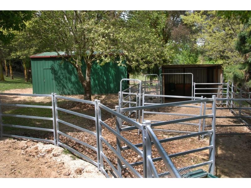 Blayney NSW 2799