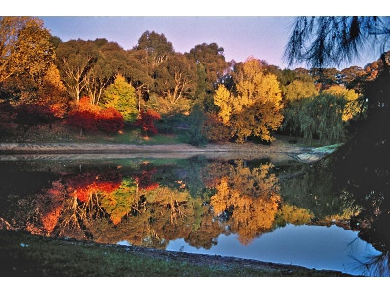 Blayney NSW 2799