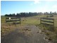 Millthorpe NSW 2798