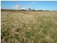 Millthorpe NSW 2798