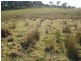 Millthorpe NSW 2798