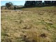Millthorpe NSW 2798
