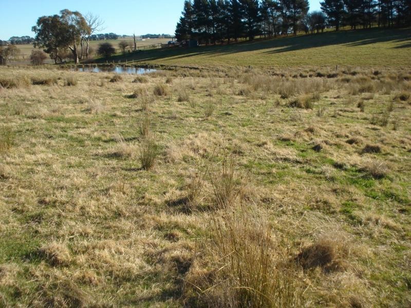 Millthorpe NSW 2798