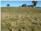 Millthorpe NSW 2798