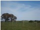 Millthorpe NSW 2798