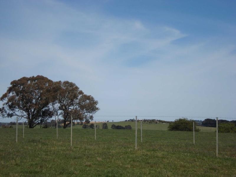 Millthorpe NSW 2798