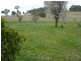 Lyndhurst NSW 2797