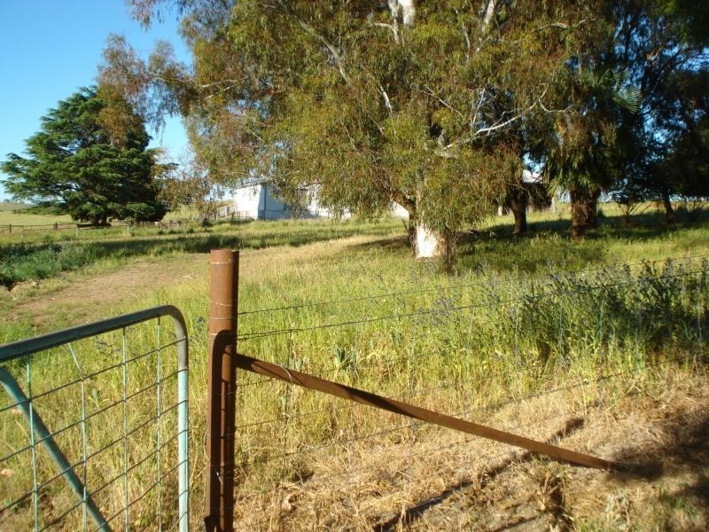 Lyndhurst NSW 2797