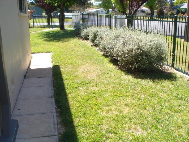 Blayney NSW 2799