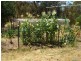 Lyndhurst NSW 2797