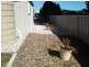 Blayney NSW 2799