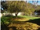 Blayney NSW 2799