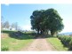 Neville NSW 2799