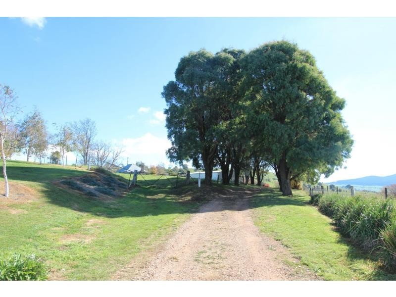 Neville NSW 2799