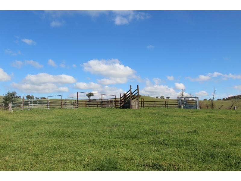Neville NSW 2799
