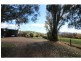 Neville NSW 2799