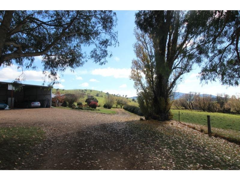 Neville NSW 2799