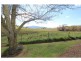 Neville NSW 2799
