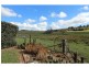 Neville NSW 2799