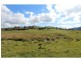 Neville NSW 2799