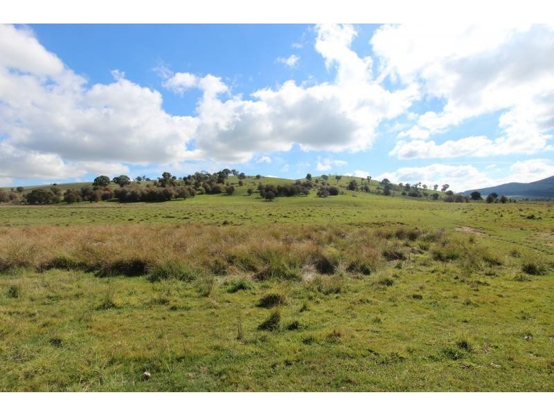 Neville NSW 2799