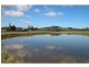 Neville NSW 2799