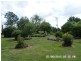 Neville NSW 2799