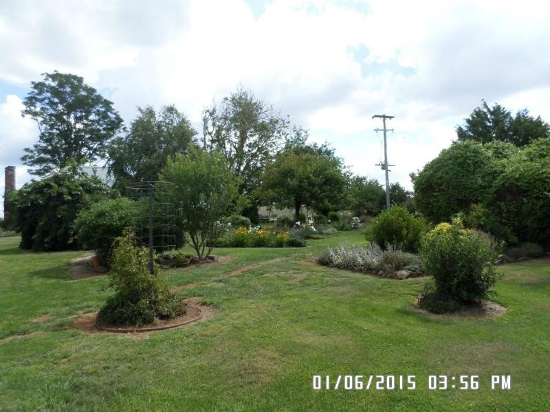Neville NSW 2799