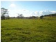 Millthorpe NSW 2798