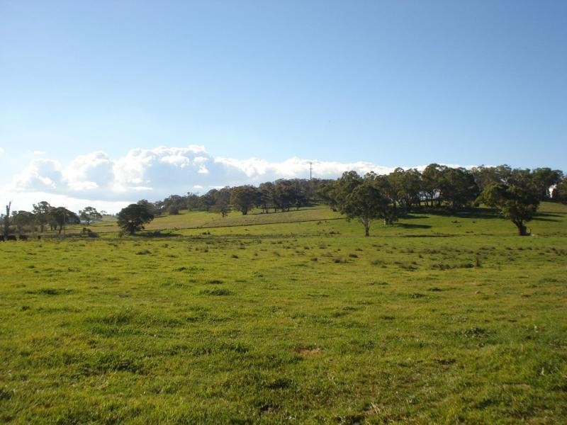 Millthorpe NSW 2798