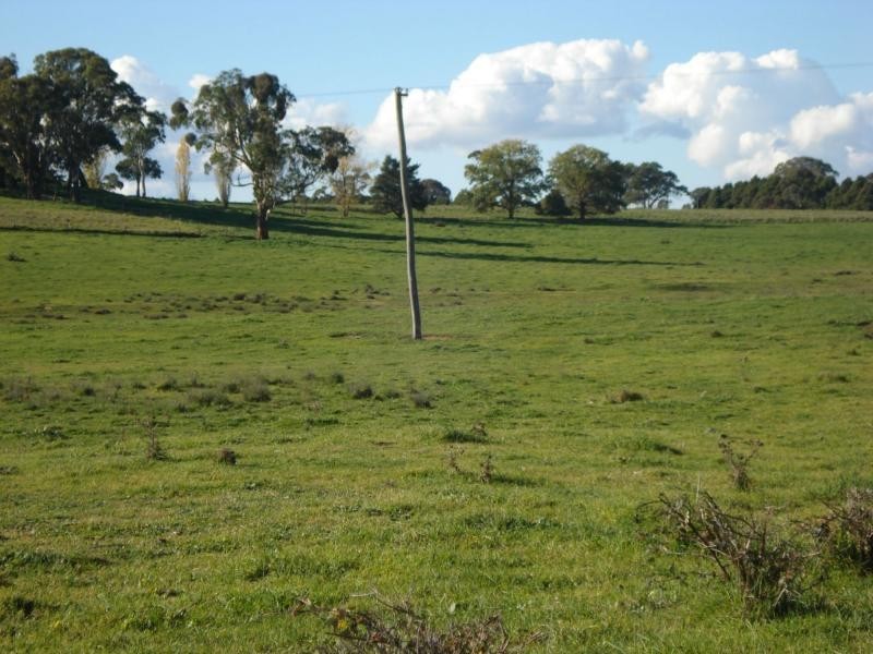 Millthorpe NSW 2798