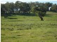 Millthorpe NSW 2798
