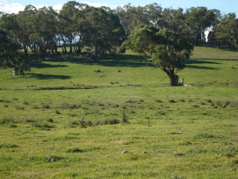 Millthorpe NSW 2798