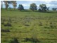 Millthorpe NSW 2798