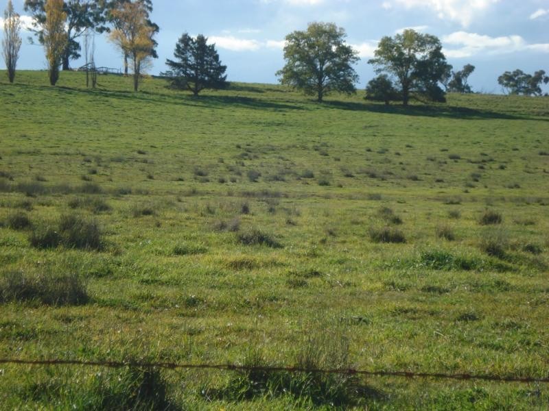 Millthorpe NSW 2798